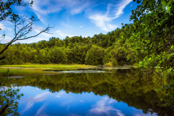 Картинка природа реки озера река лес