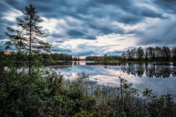 Картинка природа реки озера река лес