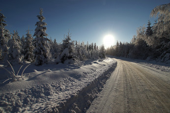 Картинка природа зима снег