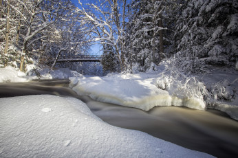 Картинка природа зима снег