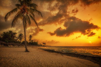 Картинка природа тропики курорт