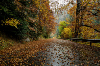 Картинка природа дороги тракт