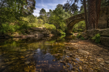 Картинка природа реки озера река лес