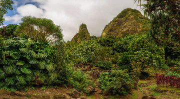 Картинка природа тропики курорт