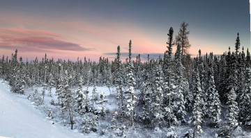 Картинка природа зима снег