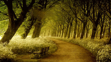 Картинка природа дороги тракт