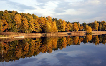 Картинка природа реки озера река лес деревья