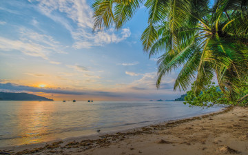 Картинка природа тропики курорт