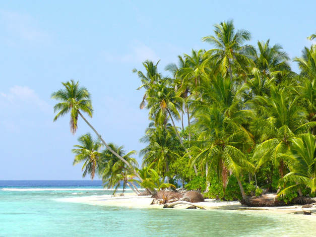Обои картинки фото природа, тропики, курорт