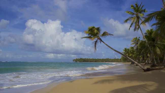 Обои картинки фото природа, тропики, курорт
