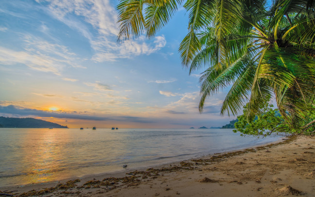 Обои картинки фото природа, тропики, курорт