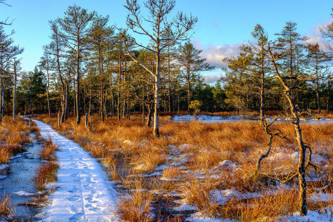 Обои картинки фото природа, дороги, тракт