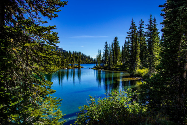 Обои картинки фото природа, реки, озера, лес, река