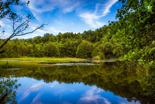 Обои картинки фото природа, реки, озера, река, лес