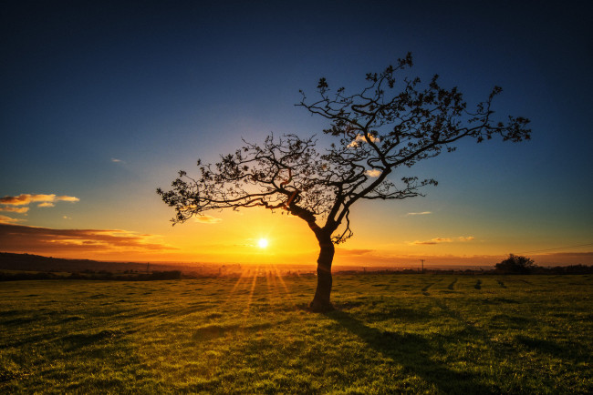 Обои картинки фото природа, восходы, закаты, рассвет