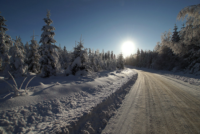 Обои картинки фото природа, зима, снег