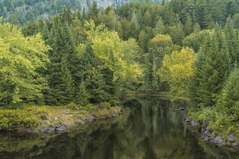 Картинка природа реки озера простор