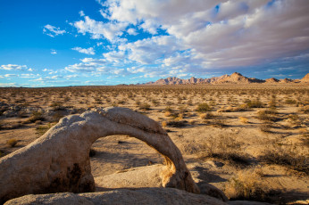 Картинка природа пустыни простор