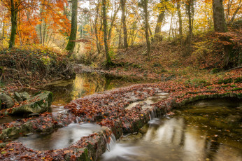 Картинка природа реки озера простор