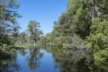 Картинка природа реки озера простор