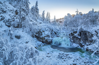 Картинка природа зима снег