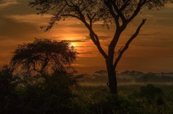 Картинка природа восходы закаты простор