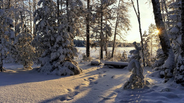 Картинка природа парк горы река