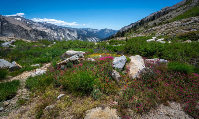 Обои картинки фото природа, пейзажи, простор