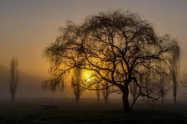 Обои картинки фото природа, восходы, закаты, простор