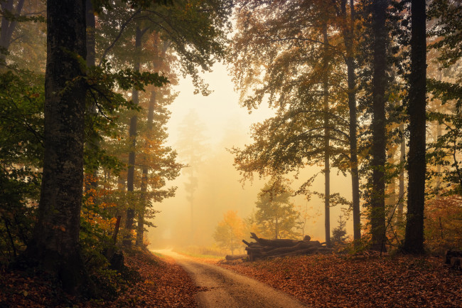 Обои картинки фото природа, дороги, простор