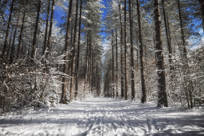 Обои картинки фото природа, зима, простор