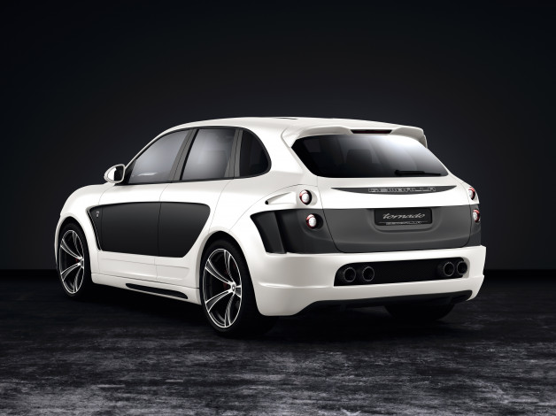 Обои картинки фото автомобили, porsche, gemballa