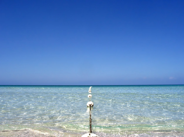 Обои картинки фото 