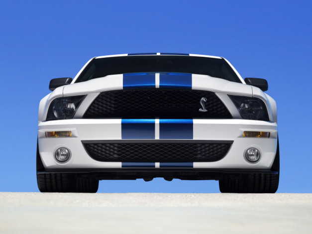 Обои картинки фото 2007, ford, shelby, gt500, автомобили