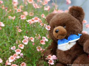 Картинка разное игрушки