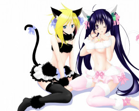 Картинка аниме animals