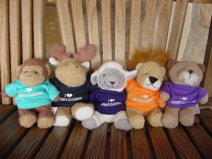 Картинка разное игрушки