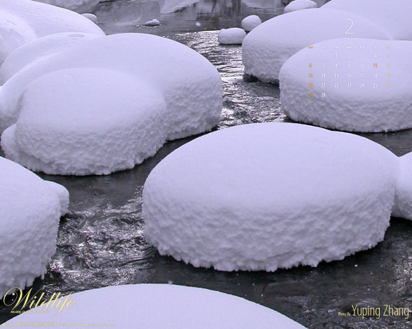 Обои картинки фото календари, природа