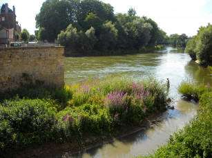 Картинка природа реки озера рыбак кусты мост деревья река