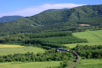 Картинка природа пейзажи лес горы