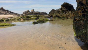 Картинка природа реки озера лагуна вода