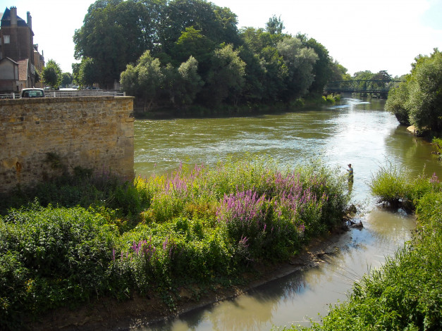 Обои картинки фото природа, реки, озера, рыбак, кусты, мост, деревья, река