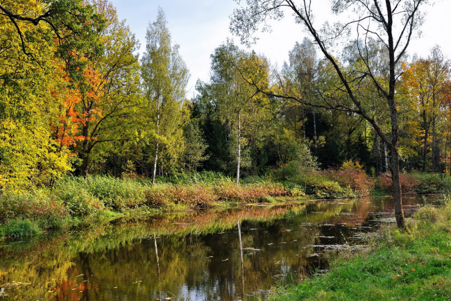 Обои картинки фото природа, реки, озера, деревья, трава, речушка