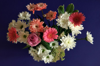 Картинка цветы букеты композиции герберы розы хризантемы