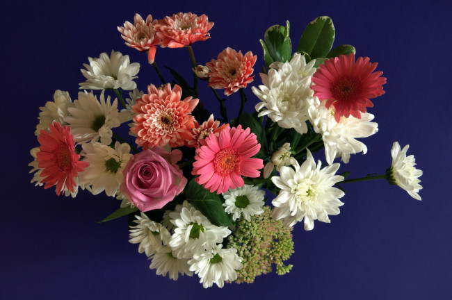 Обои картинки фото цветы, букеты, композиции, герберы, розы, хризантемы