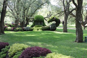 Картинка природа парк выставка ботанический сад квебек монреаль калифорния