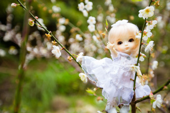 Картинка разное игрушки кукла