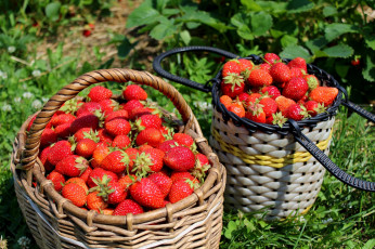 Картинка еда клубника +земляника корзины