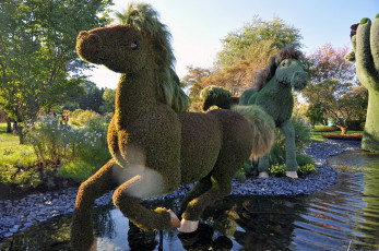 Картинка природа парк ботанический выставка калифорния сад квебек монреаль