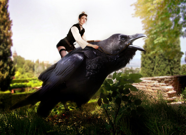 Обои картинки фото разное, компьютерный дизайн, птица